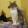 Отзыв от Лера Гришина